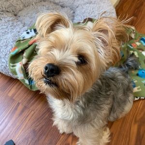 Meet your Posher, Sinyoung